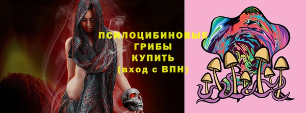 индика Новозыбков