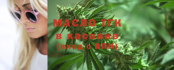 индика Новозыбков