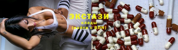индика Новозыбков