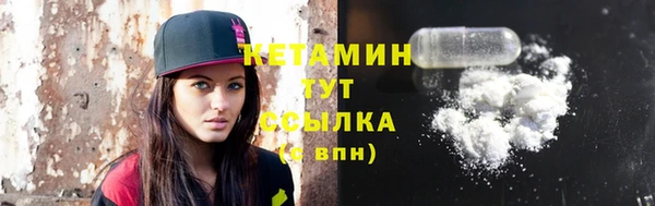 индика Новозыбков
