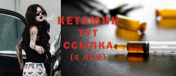 индика Новозыбков