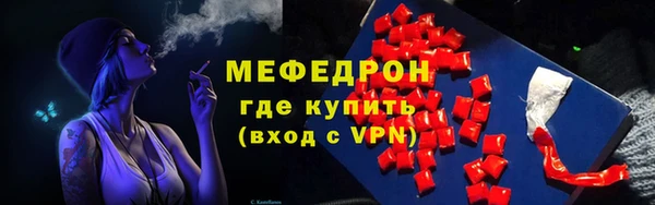 индика Новозыбков