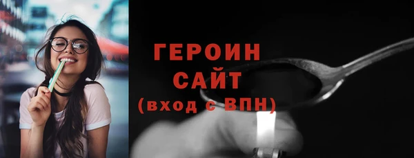индика Новозыбков
