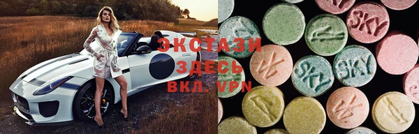 индика Новозыбков