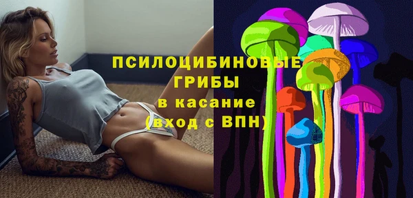 PSILOCYBIN Новодвинск
