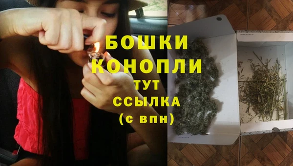 дживик Арсеньев