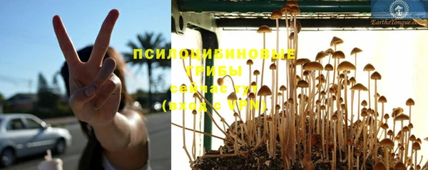 PSILOCYBIN Новодвинск