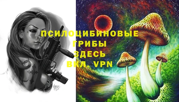 мяу мяу кристалл Нягань
