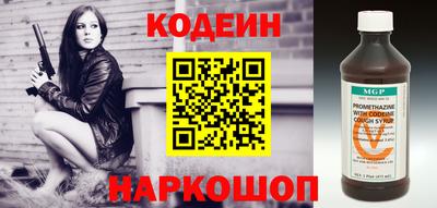 индика Гатчина