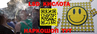 индика Гатчина