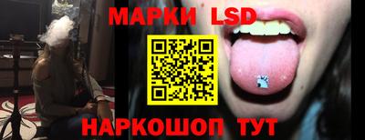 индика Гатчина