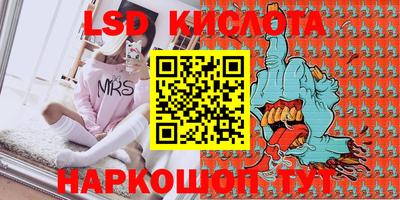 индика Гатчина