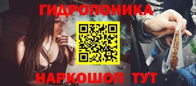 индика Гатчина