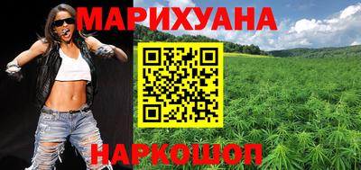индика Гатчина