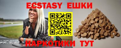индика Гатчина
