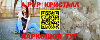 индика Гатчина