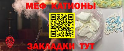 индика Гатчина