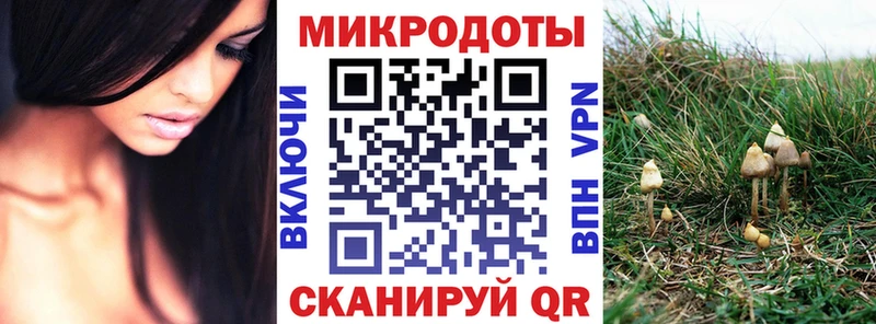 Псилоцибиновые грибы GOLDEN TEACHER Елабуга