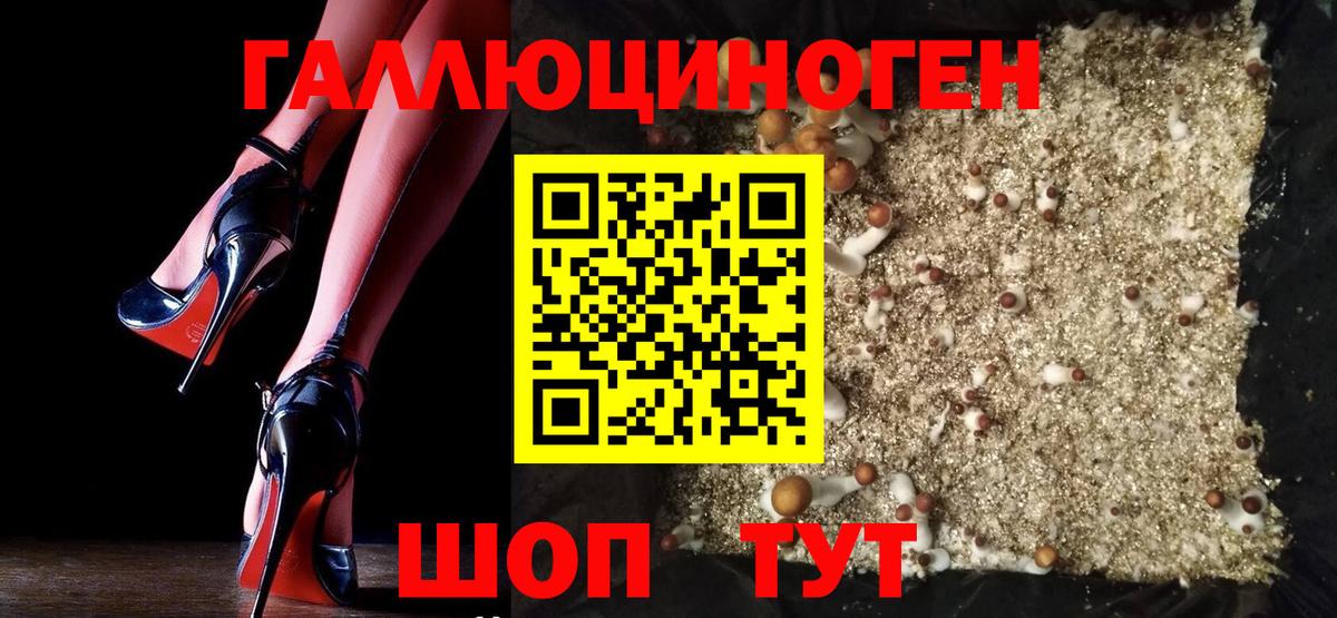 Галлюциногенные грибы Cubensis Елабуга