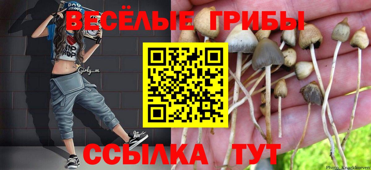 Елабуга  Галлюциногенные грибы прущие грибы  Вход с VPN 