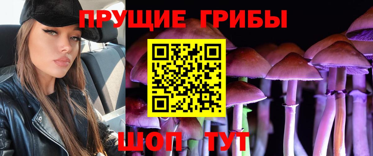 Псилоцибиновые грибы GOLDEN TEACHER Елабуга